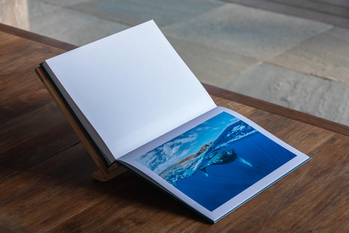 Dans l'intimité des baleines