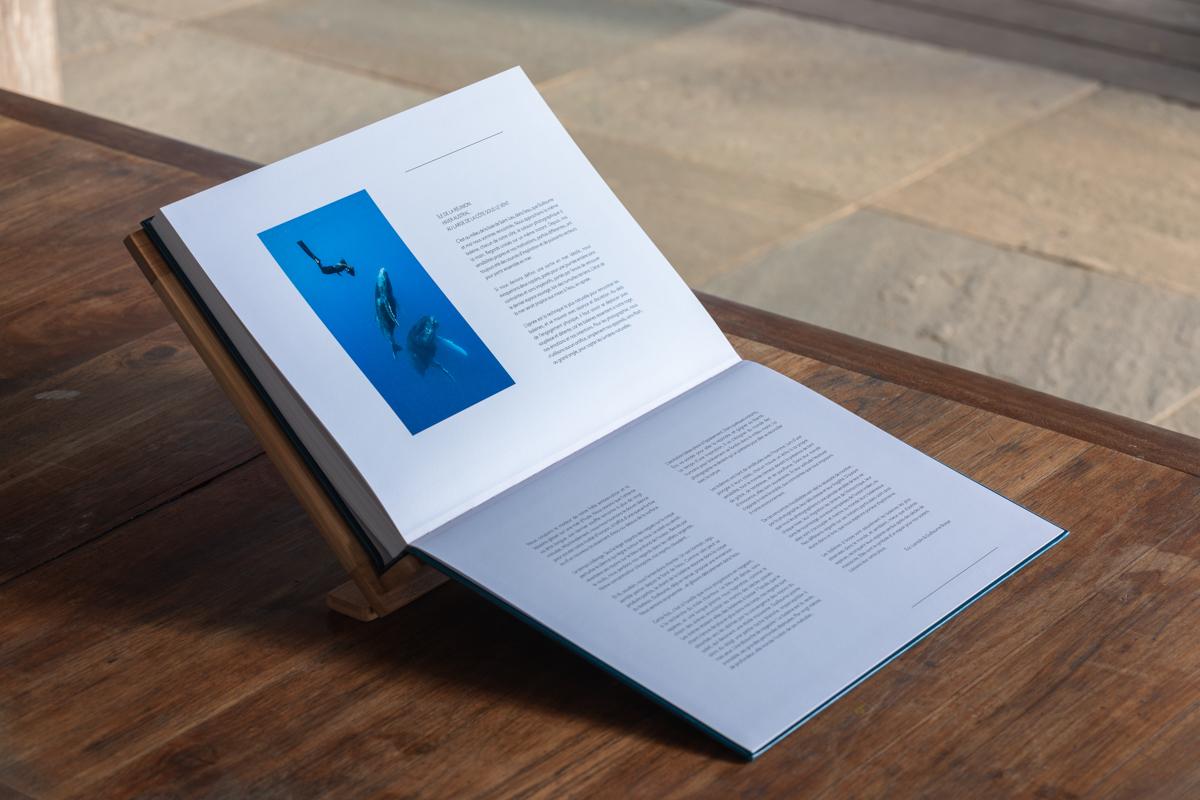 Dans l'intimité des baleines