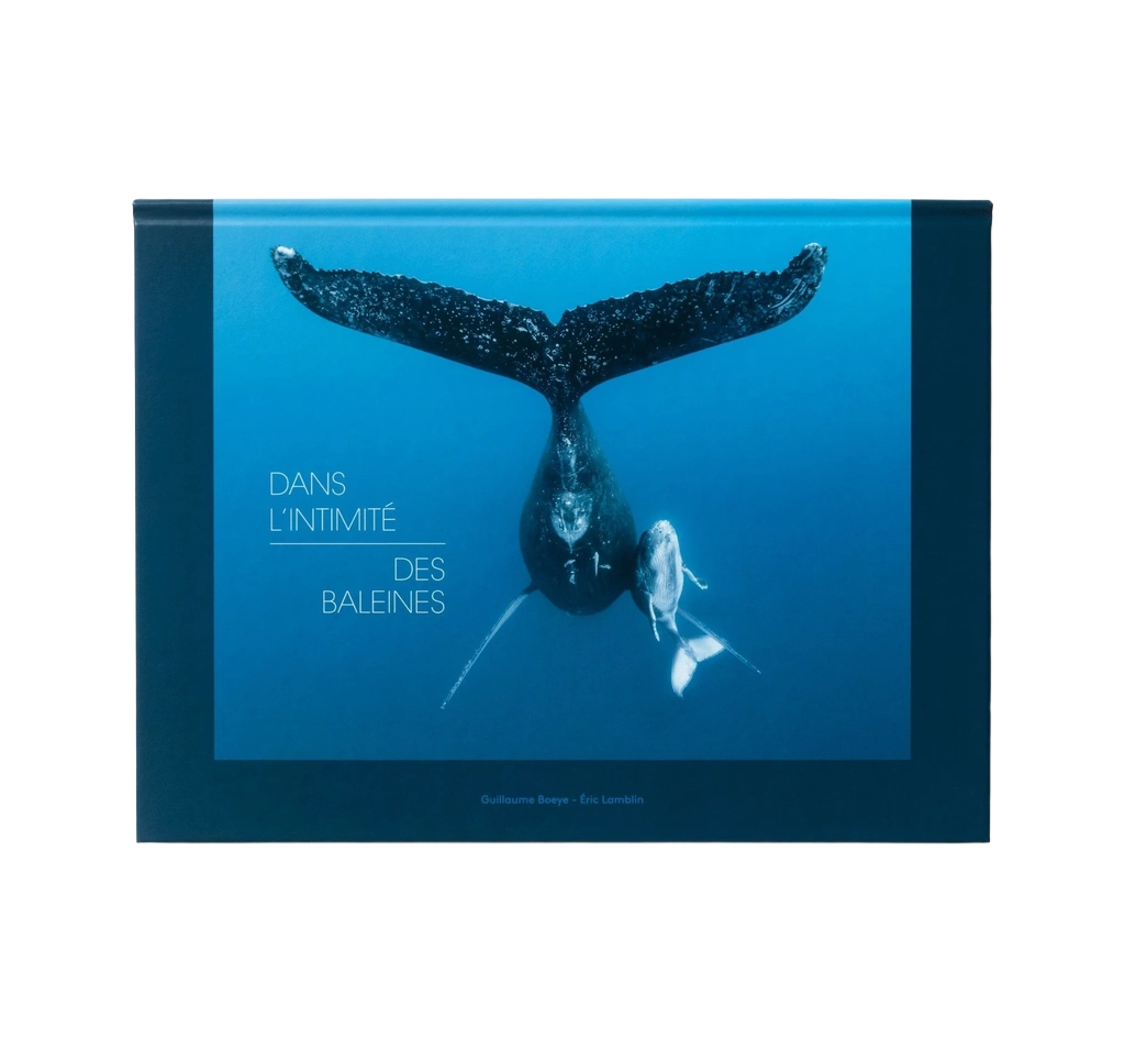 Dans l'intimité des baleines — livre ouvert