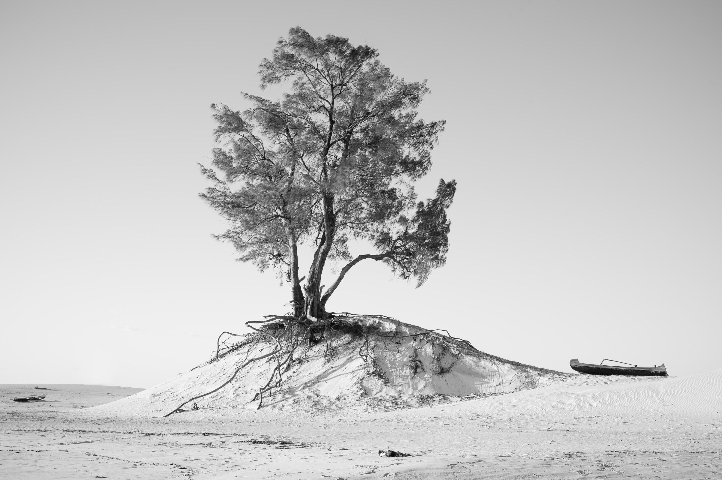 Racines d'Éternité