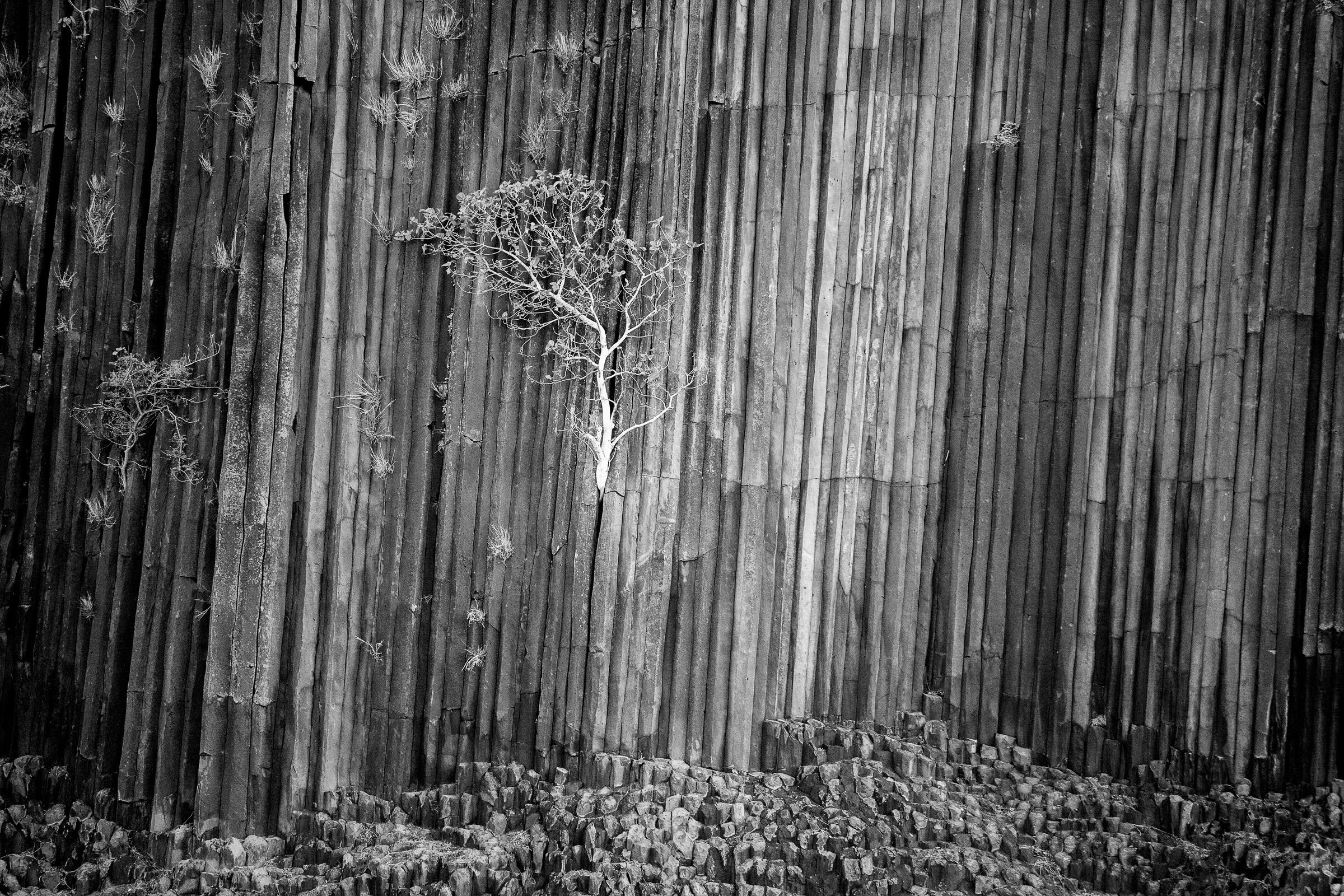 Verticales de Silence